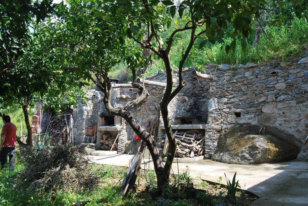 Al Melograno B&B Belmonte Calabro Rum bild