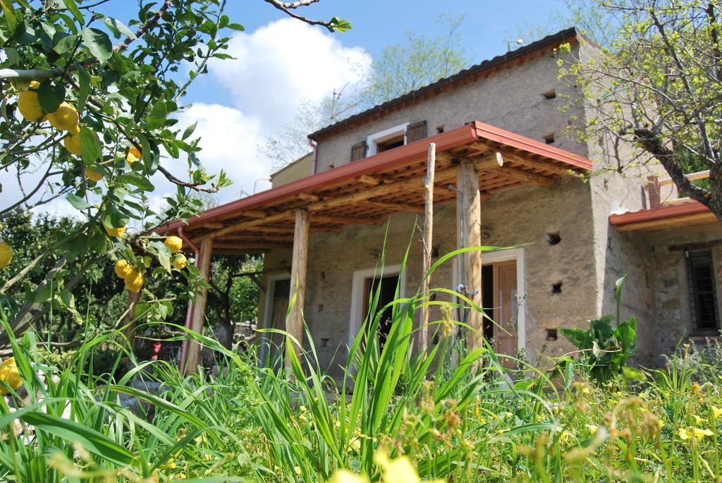 Al Melograno B&B Belmonte Calabro Exteriör bild
